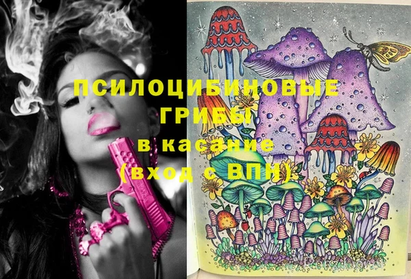 spice Волоколамск