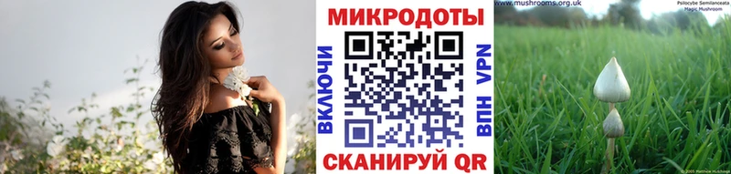 Галлюциногенные грибы мицелий  Купить закладки  Первоуральск 